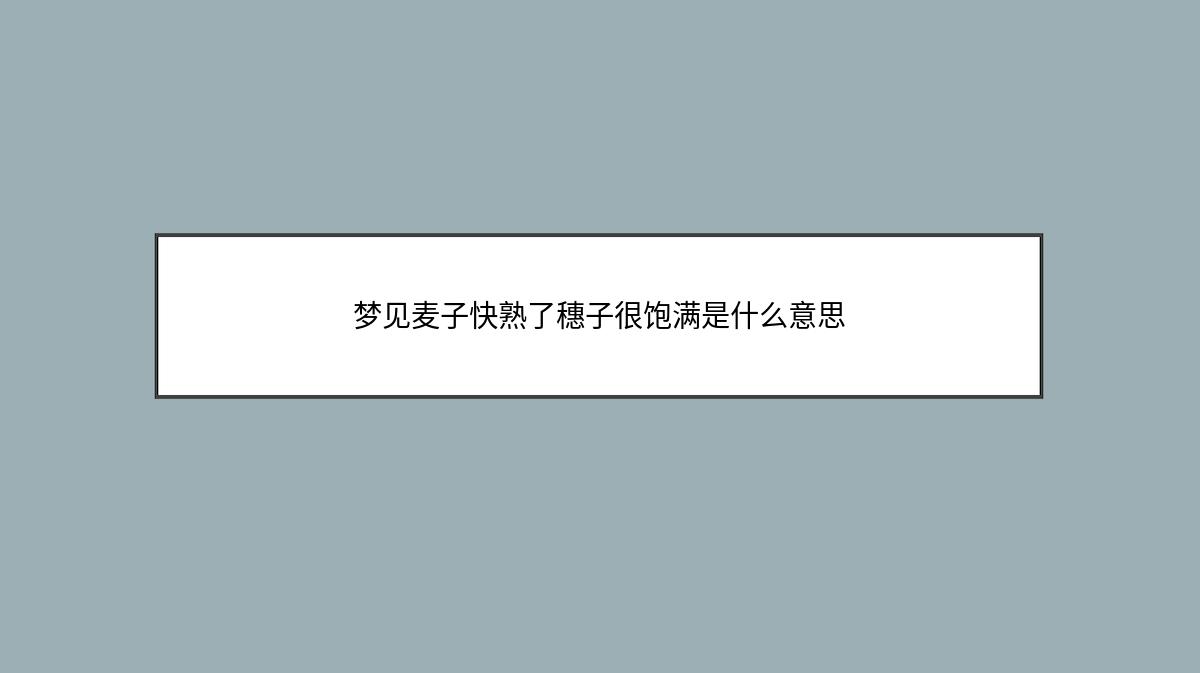 梦见麦子快熟了穗子很饱满是什么意思