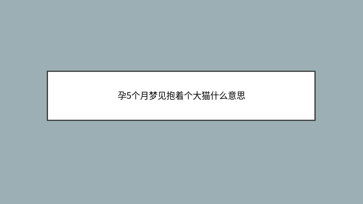 孕5个月梦见抱着个大猫什么意思