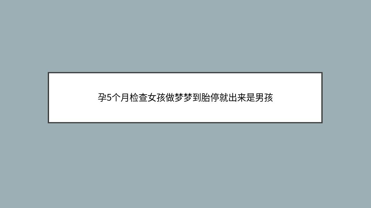 孕5个月检查女孩做梦梦到胎停就出来是男孩