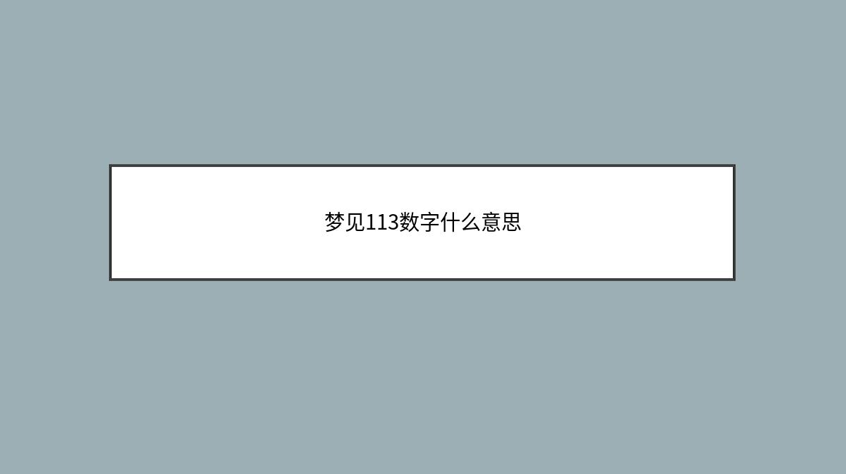 梦见113数字什么意思