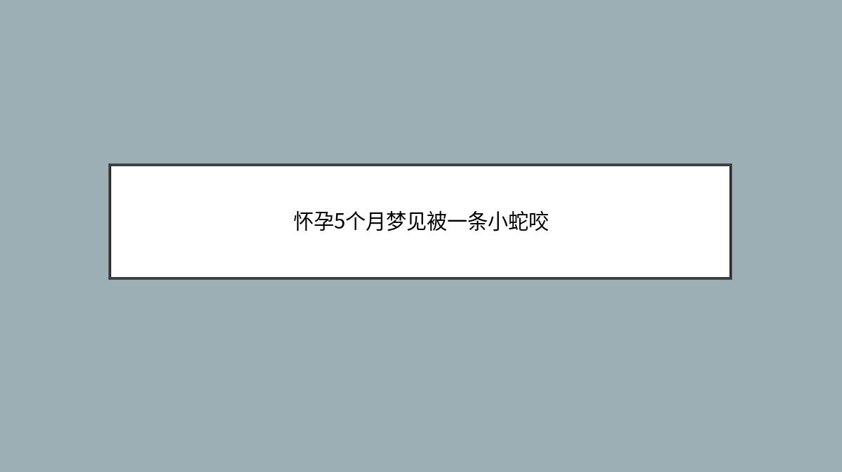 怀孕5个月梦见被一条小蛇咬