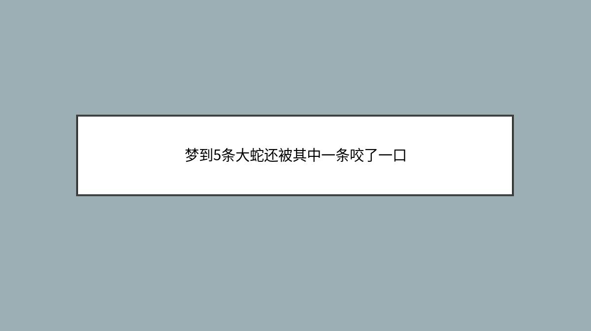 梦到5条大蛇还被其中一条咬了一口