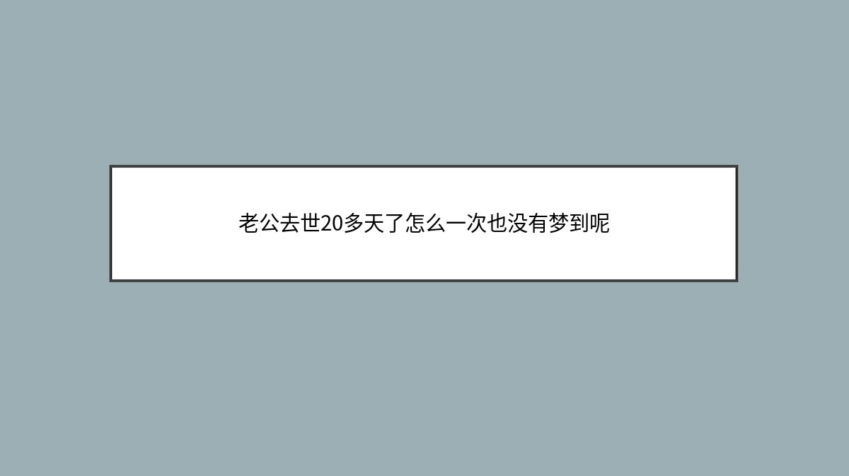 老公去世20多天了怎么一次也没有梦到呢