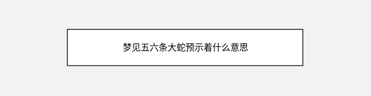 梦见五六条大蛇预示着什么意思