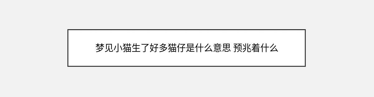 梦见小猫生了好多猫仔是什么意思 预兆着什么