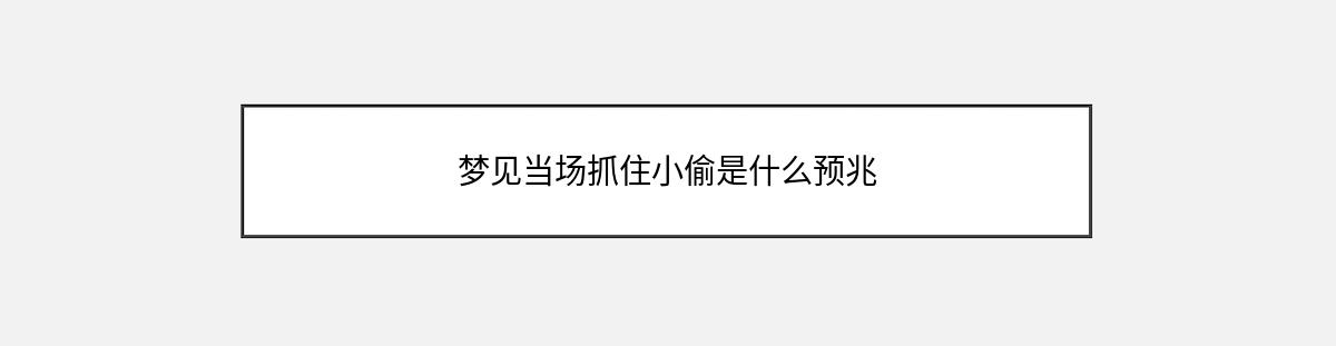 梦见当场抓住小偷是什么预兆