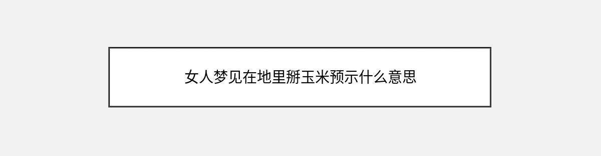 女人梦见在地里掰玉米预示什么意思