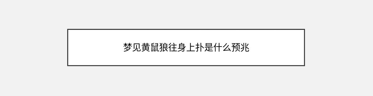 梦见黄鼠狼往身上扑是什么预兆