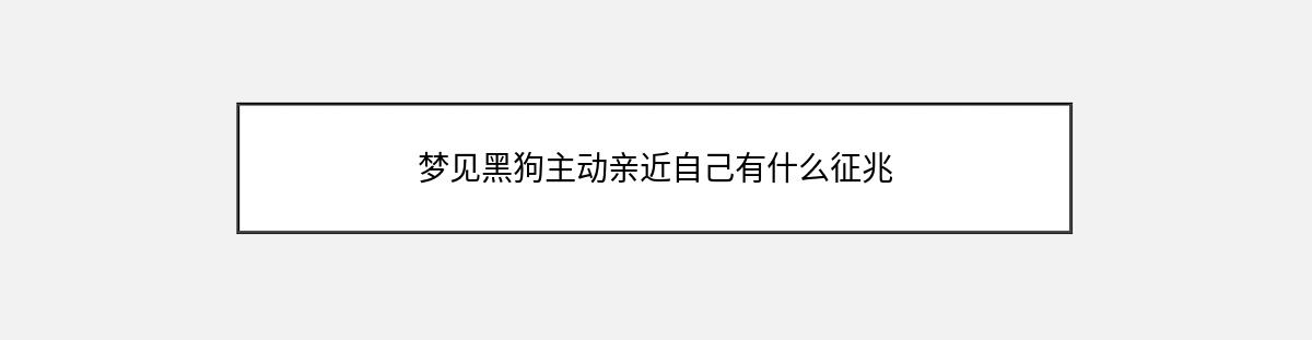 梦见黑狗主动亲近自己有什么征兆