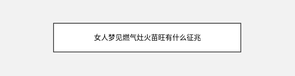 女人梦见燃气灶火苗旺有什么征兆