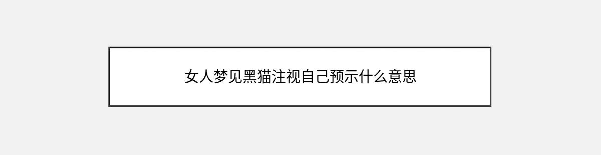 女人梦见黑猫注视自己预示什么意思