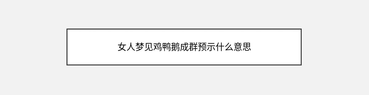 女人梦见鸡鸭鹅成群预示什么意思