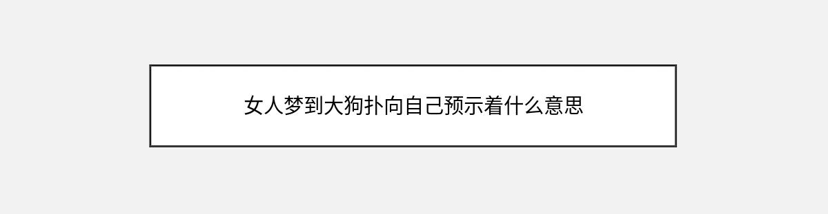 女人梦到大狗扑向自己预示着什么意思