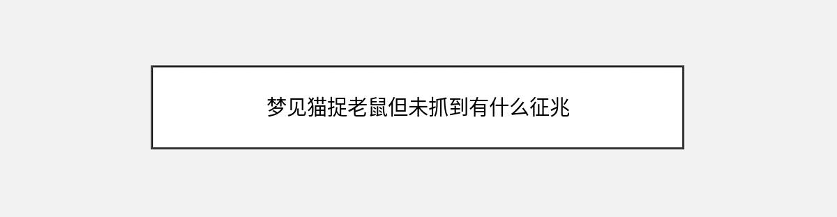 梦见猫捉老鼠但未抓到有什么征兆