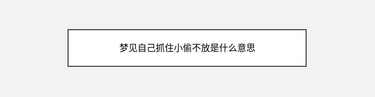 梦见自己抓住小偷不放是什么意思