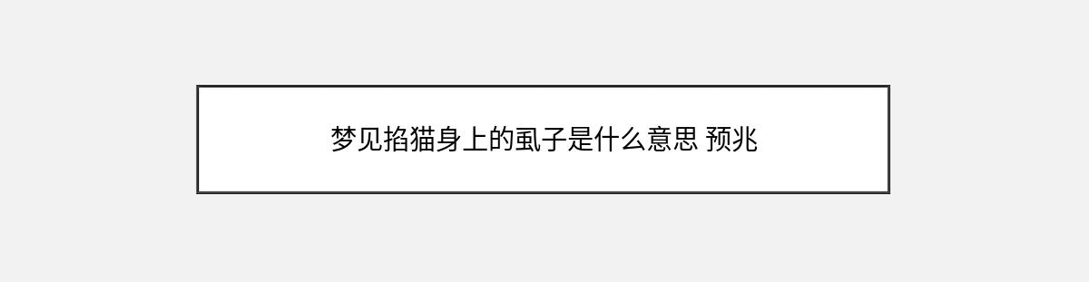 梦见掐猫身上的虱子是什么意思 预兆