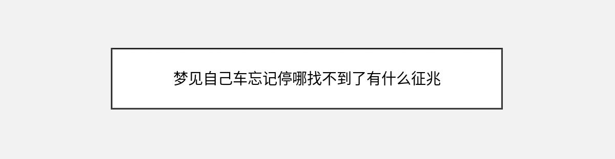 梦见自己车忘记停哪找不到了有什么征兆