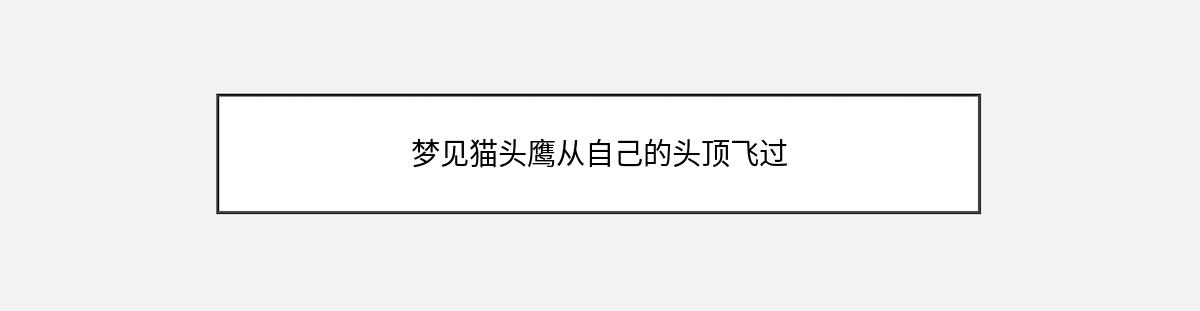 梦见猫头鹰从自己的头顶飞过