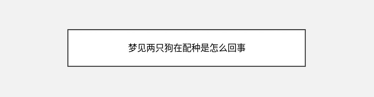 梦见两只狗在配种是怎么回事