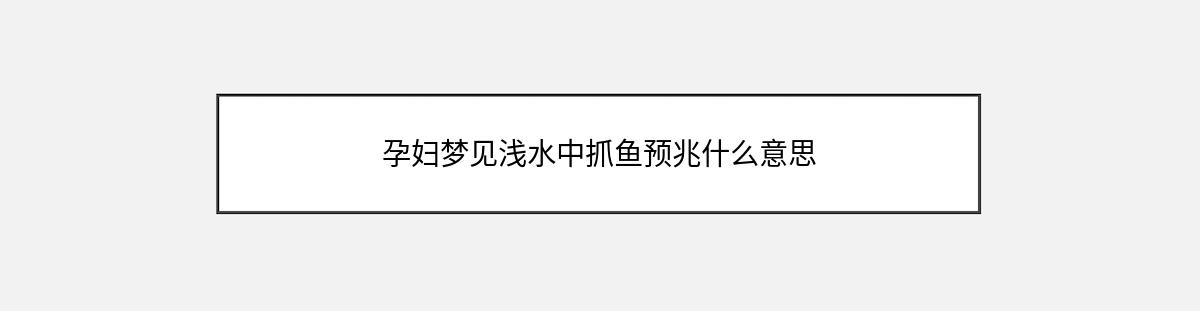 孕妇梦见浅水中抓鱼预兆什么意思