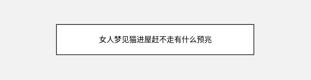 女人梦见猫进屋赶不走有什么预兆