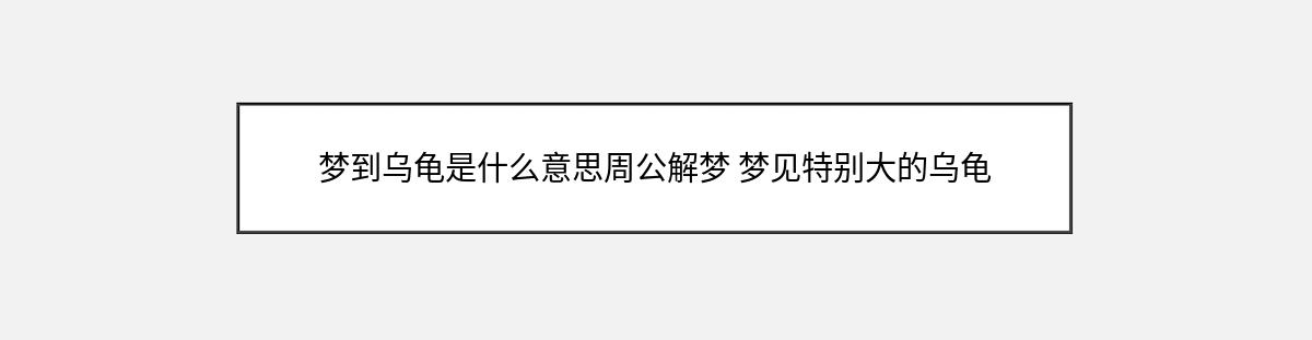 梦到乌龟是什么意思周公解梦 梦见特别大的乌龟