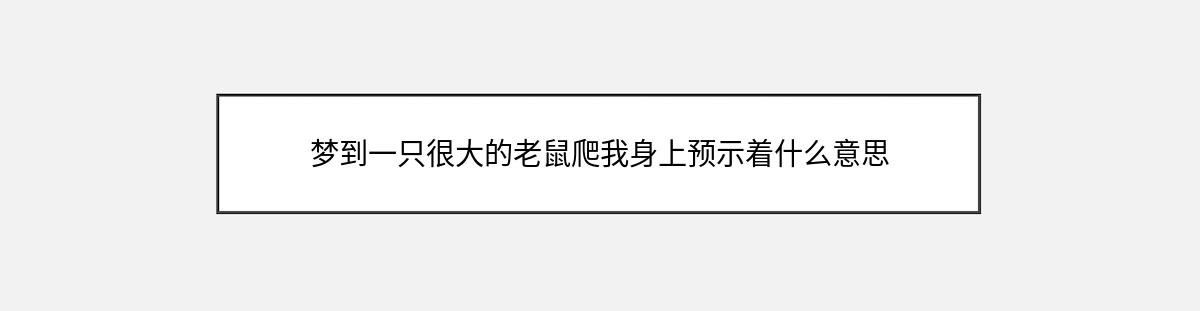 梦到一只很大的老鼠爬我身上预示着什么意思