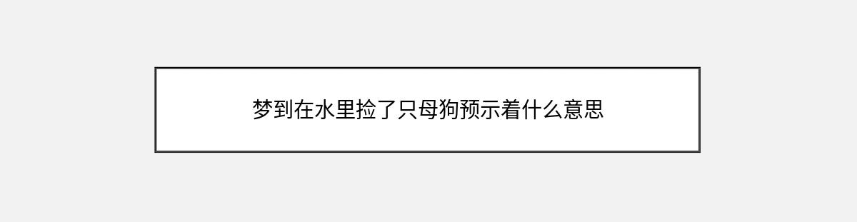 梦到在水里捡了只母狗预示着什么意思