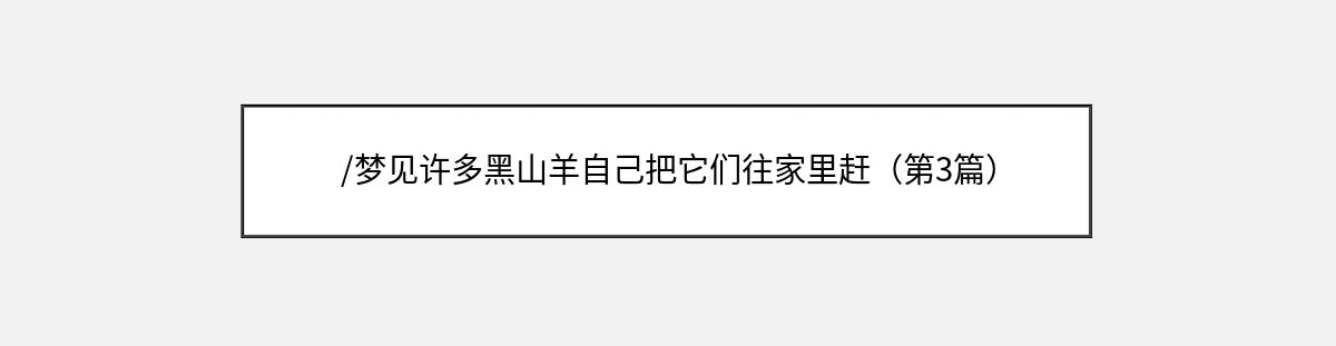 /梦见许多黑山羊自己把它们往家里赶（第3篇）