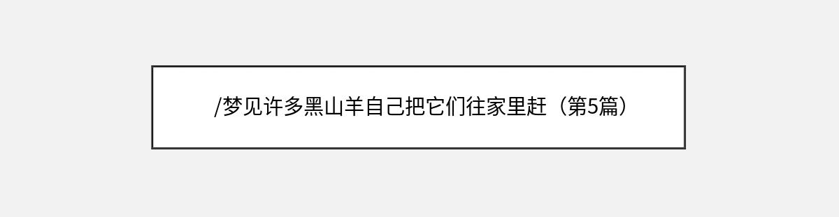 /梦见许多黑山羊自己把它们往家里赶（第5篇）