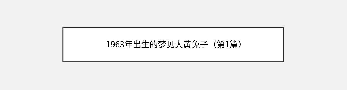 1963年出生的梦见大黄兔子（第1篇）