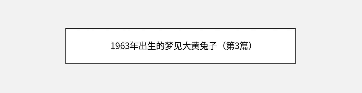 1963年出生的梦见大黄兔子（第3篇）