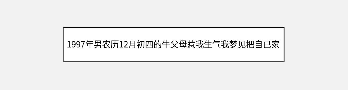 1997年男农历12月初四的牛父母惹我生气我梦见把自已家的玻璃全炸了（第1篇）