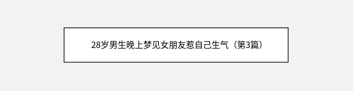 28岁男生晚上梦见女朋友惹自己生气（第3篇）