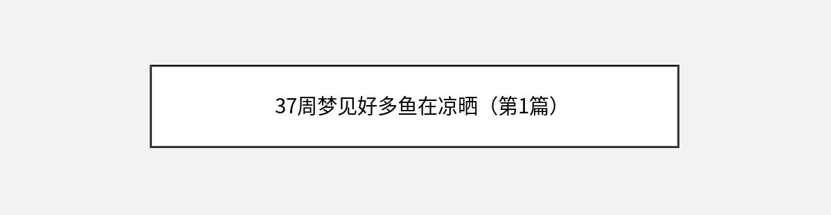 37周梦见好多鱼在凉晒（第1篇）