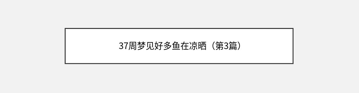 37周梦见好多鱼在凉晒（第3篇）