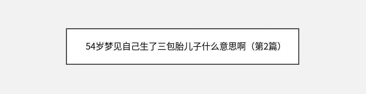 54岁梦见自己生了三包胎儿子什么意思啊（第2篇）