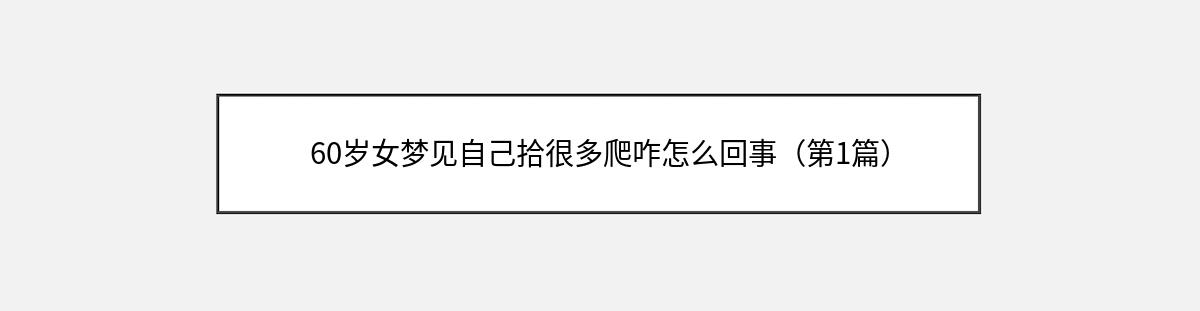 60岁女梦见自己拾很多爬咋怎么回事（第1篇）