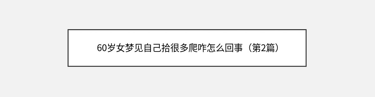 60岁女梦见自己拾很多爬咋怎么回事（第2篇）