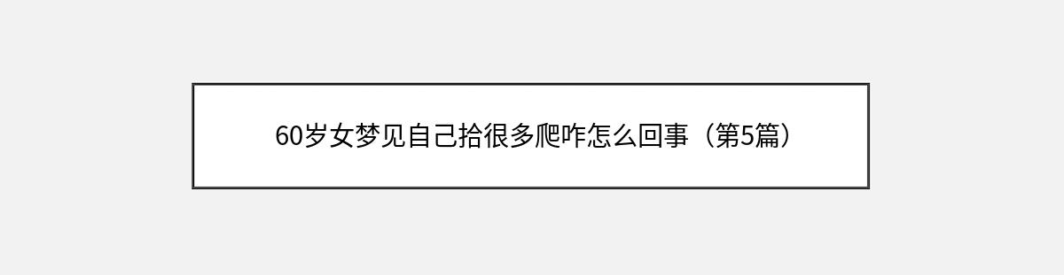 60岁女梦见自己拾很多爬咋怎么回事（第5篇）