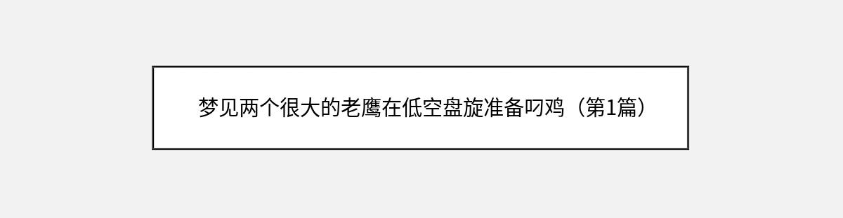 梦见两个很大的老鹰在低空盘旋准备叼鸡（第1篇）