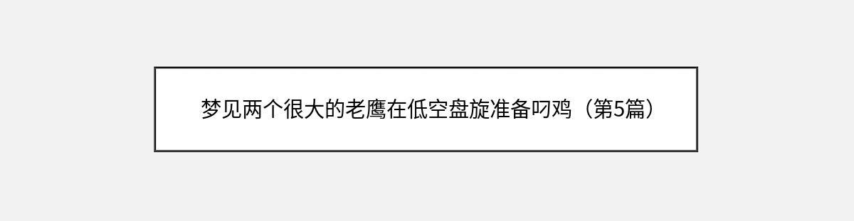 梦见两个很大的老鹰在低空盘旋准备叼鸡（第5篇）