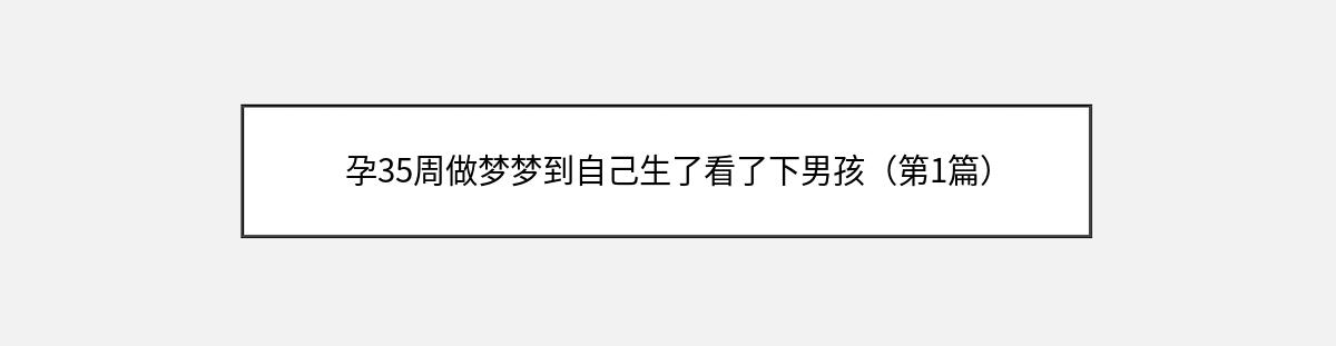 孕35周做梦梦到自己生了看了下男孩（第1篇）