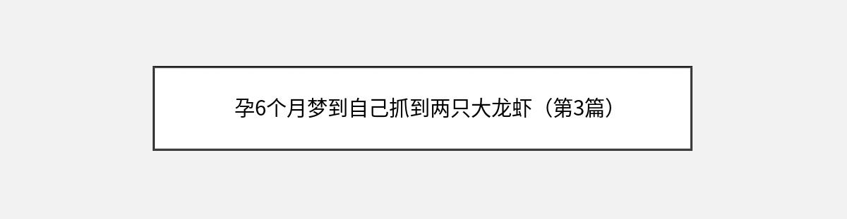 孕6个月梦到自己抓到两只大龙虾（第3篇）