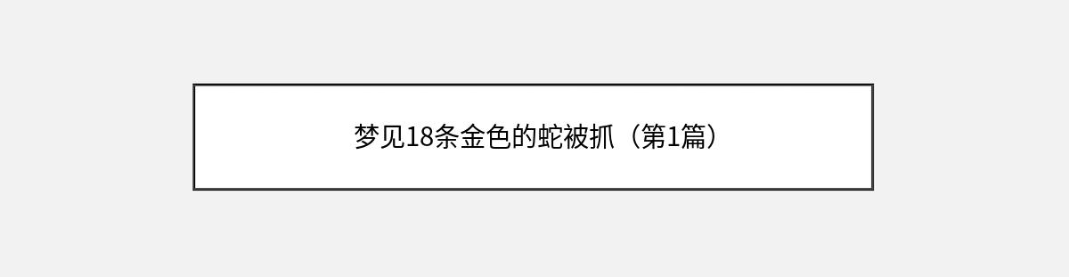 梦见18条金色的蛇被抓（第1篇）