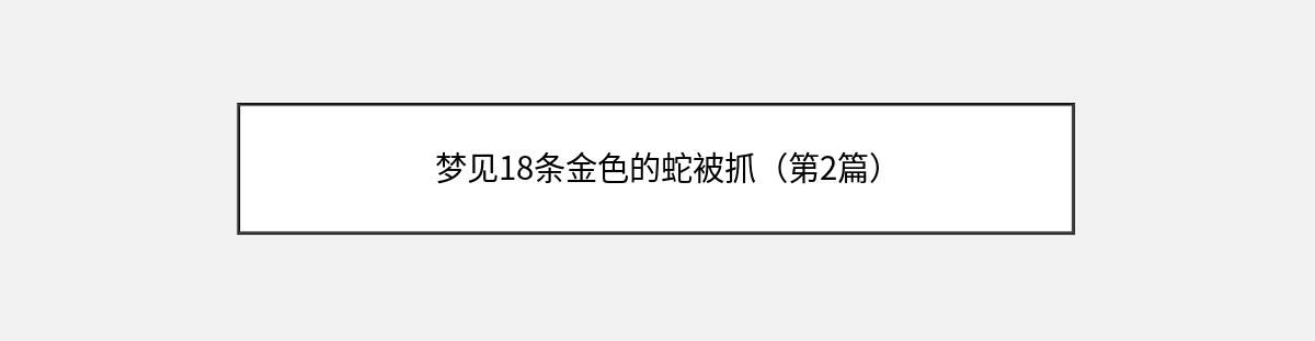 梦见18条金色的蛇被抓（第2篇）