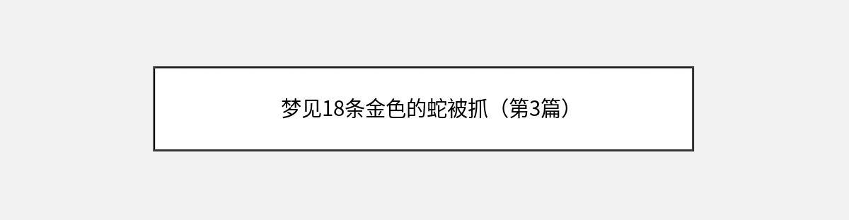 梦见18条金色的蛇被抓（第3篇）