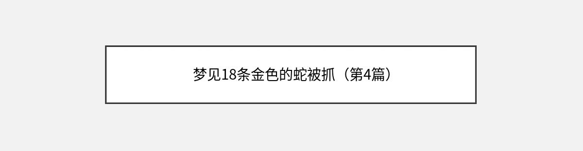 梦见18条金色的蛇被抓（第4篇）