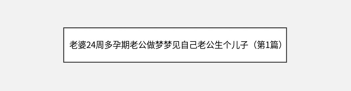 老婆24周多孕期老公做梦梦见自己老公生个儿子（第1篇）