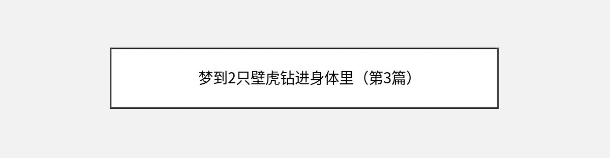 梦到2只壁虎钻进身体里（第3篇）